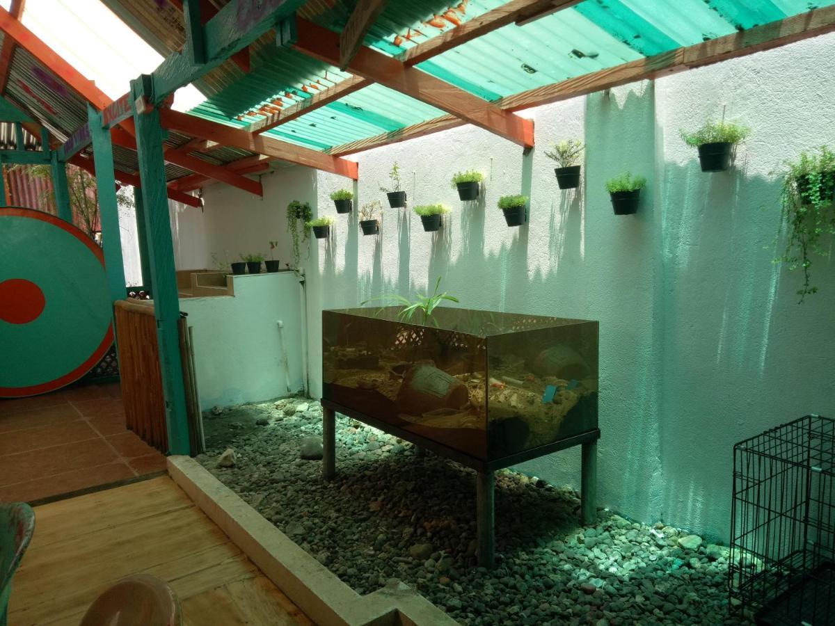 Smallfry'S Beach Resort Calatrava  Luaran gambar